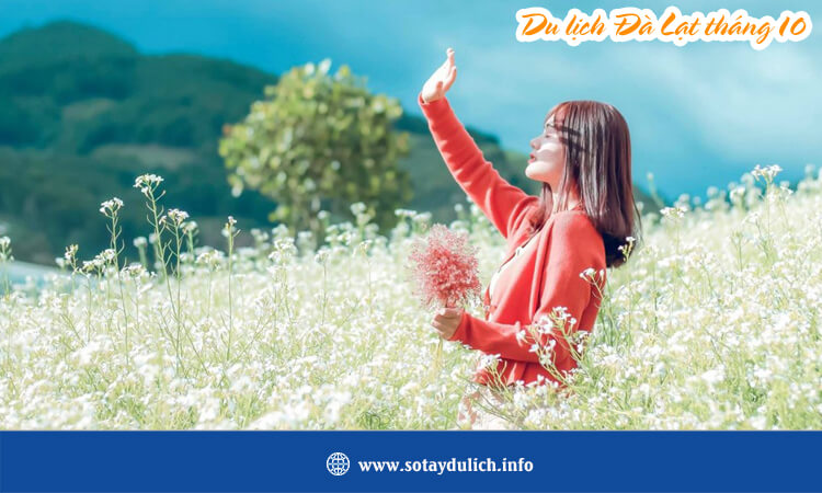 Du lịch Đà Lạt tháng 10 